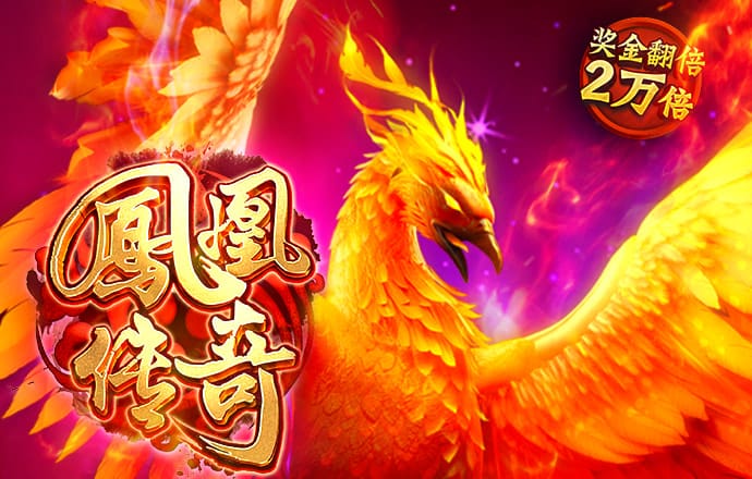 6t平台骗局